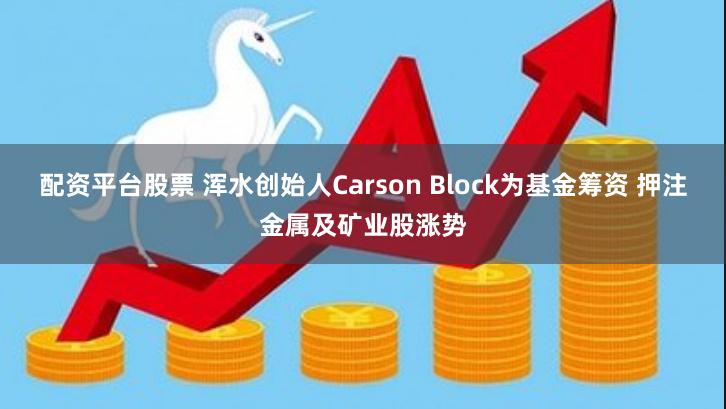 配资平台股票 浑水创始人Carson Block为基金筹资 押注金属及矿业股涨势