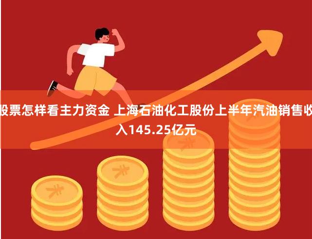 股票怎样看主力资金 上海石油化工股份上半年汽油销售收入145.25亿元