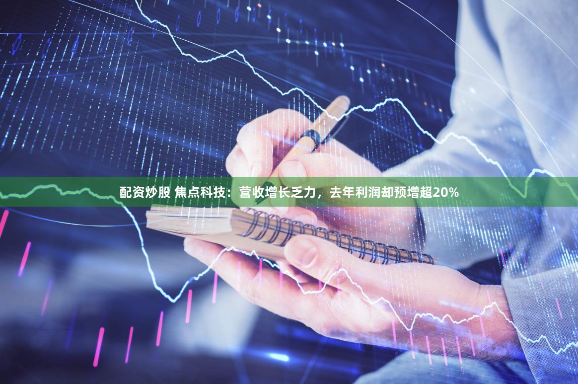 配资炒股 焦点科技：营收增长乏力，去年利润却预增超20%