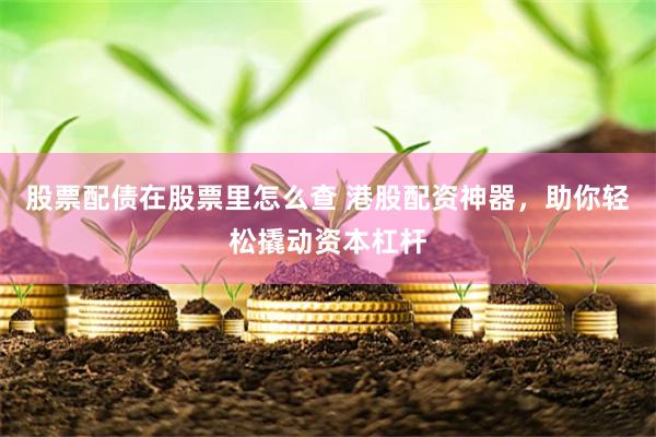 股票配债在股票里怎么查 港股配资神器，助你轻松撬动资本杠杆